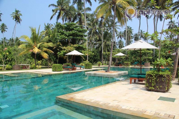 Serene Pavilions