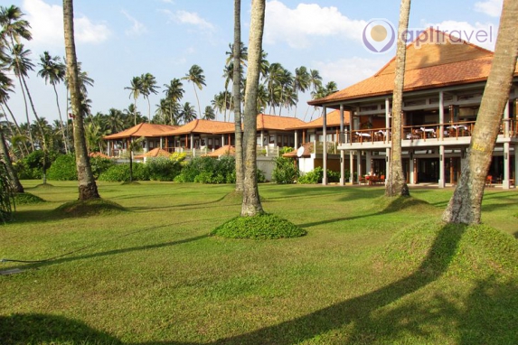 Serene Pavilions