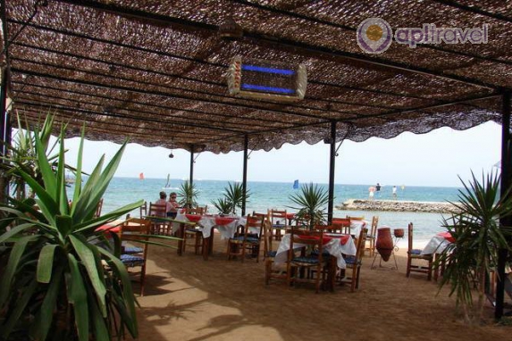 Desert Rose Resort