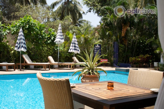 Casablanca Goa