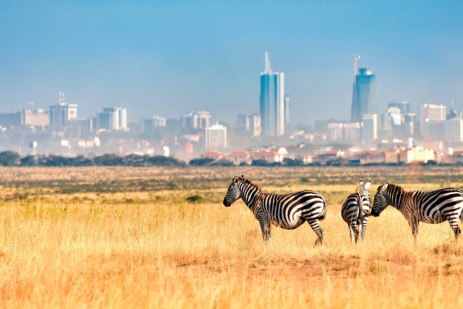 Кения - Туристический оператор APL Travel (АПЛ Тревел)